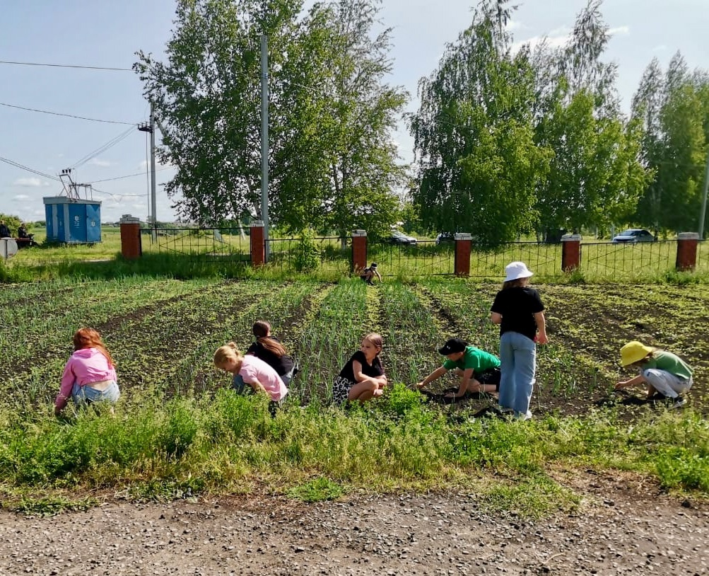 2 день в пришкольном лагере труда и отдыха.